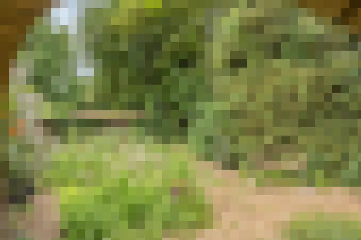 Rijksweg 224 Heumen thumbnail 102