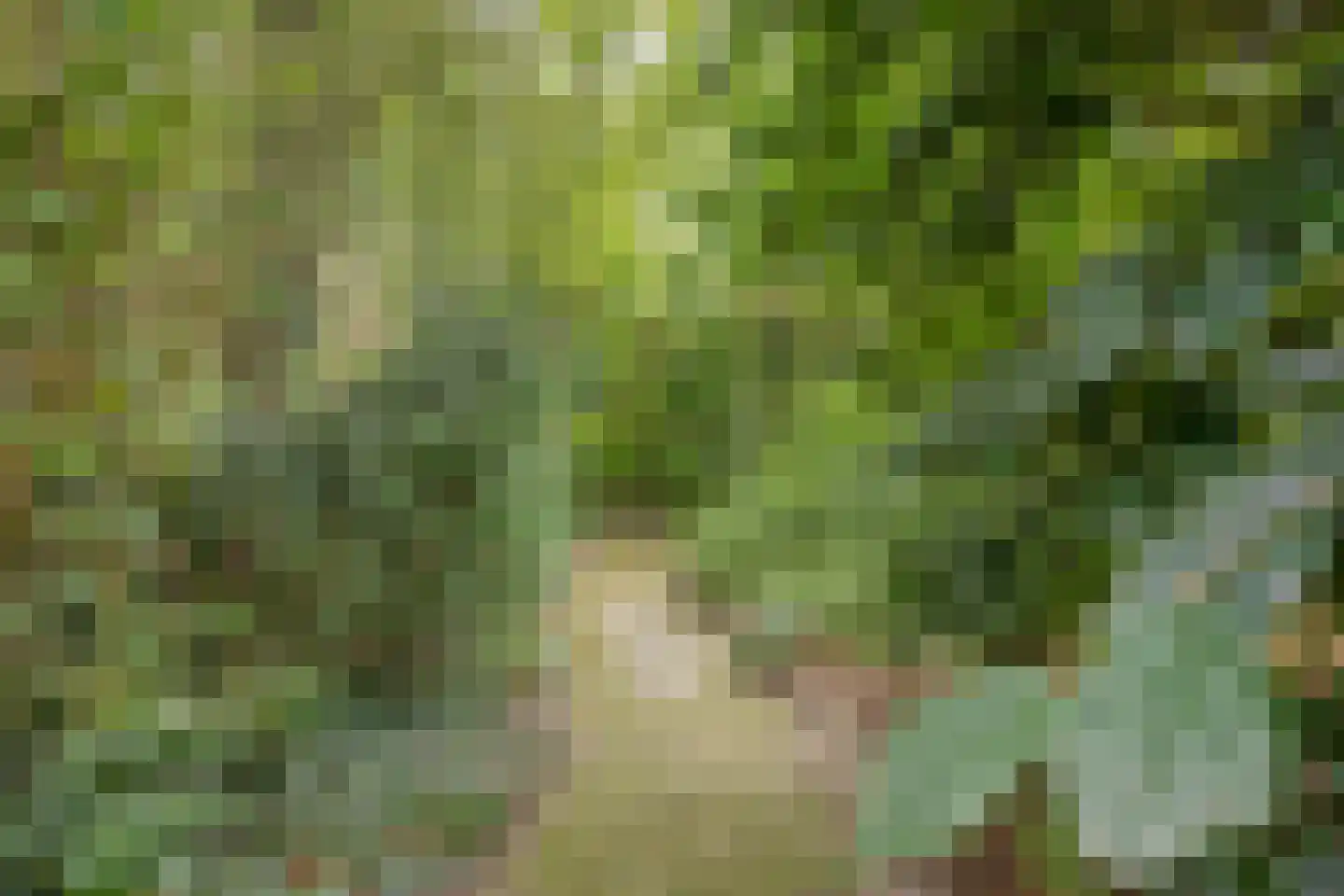 Rijksweg 224 Heumen thumbnail 103