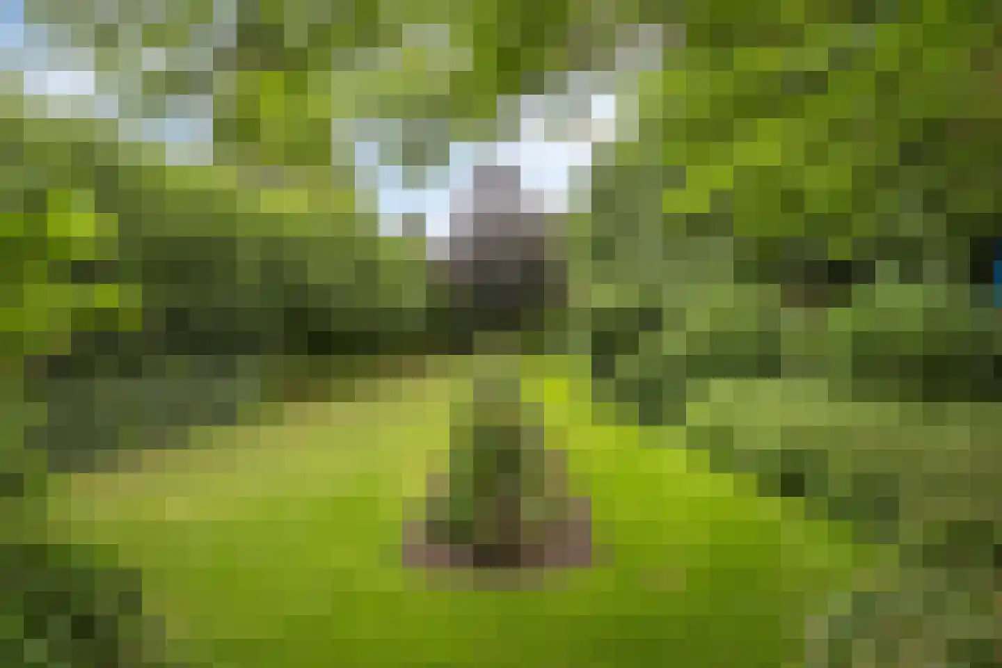 Rijksweg 224 Heumen thumbnail 109