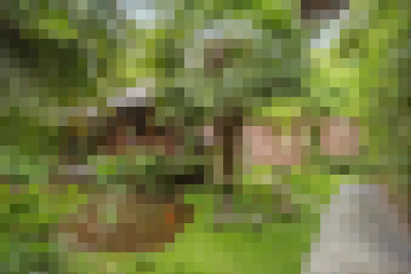 Rijksweg 224 Heumen thumbnail 11