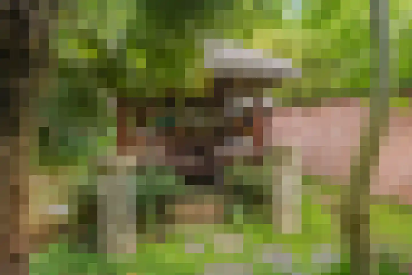 Rijksweg 224 Heumen thumbnail 12