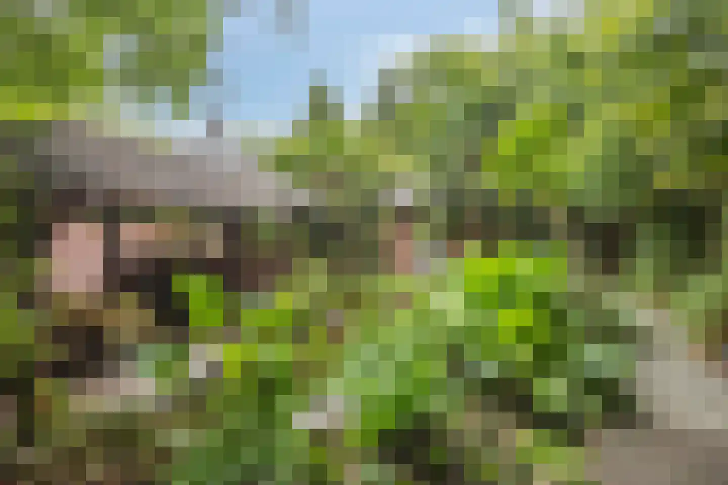Rijksweg 224 Heumen thumbnail 13