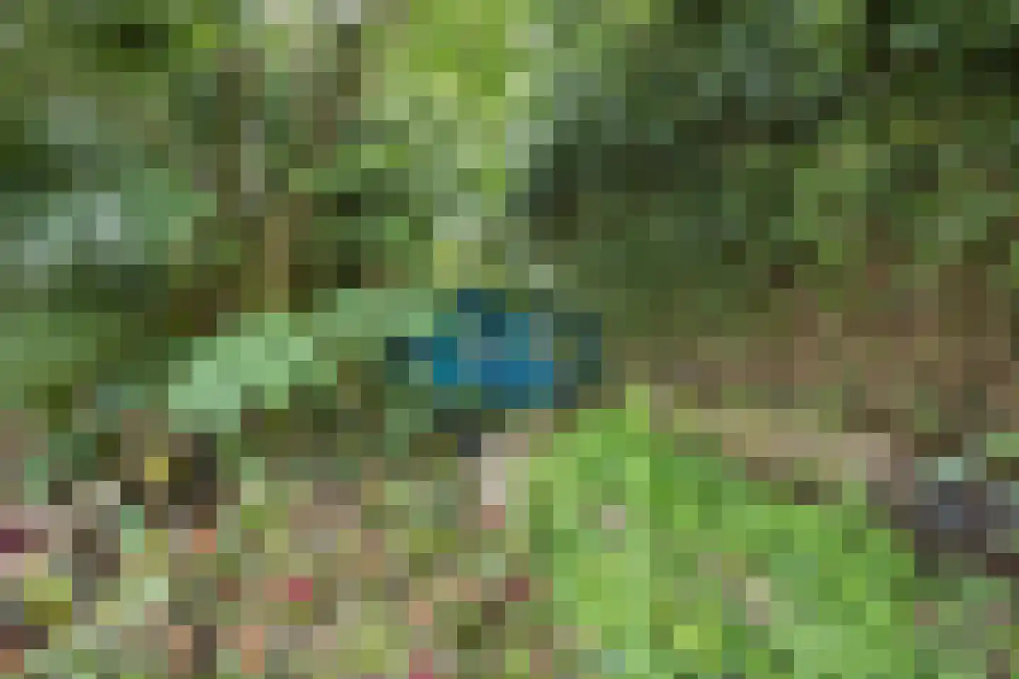 Rijksweg 224 Heumen thumbnail 14