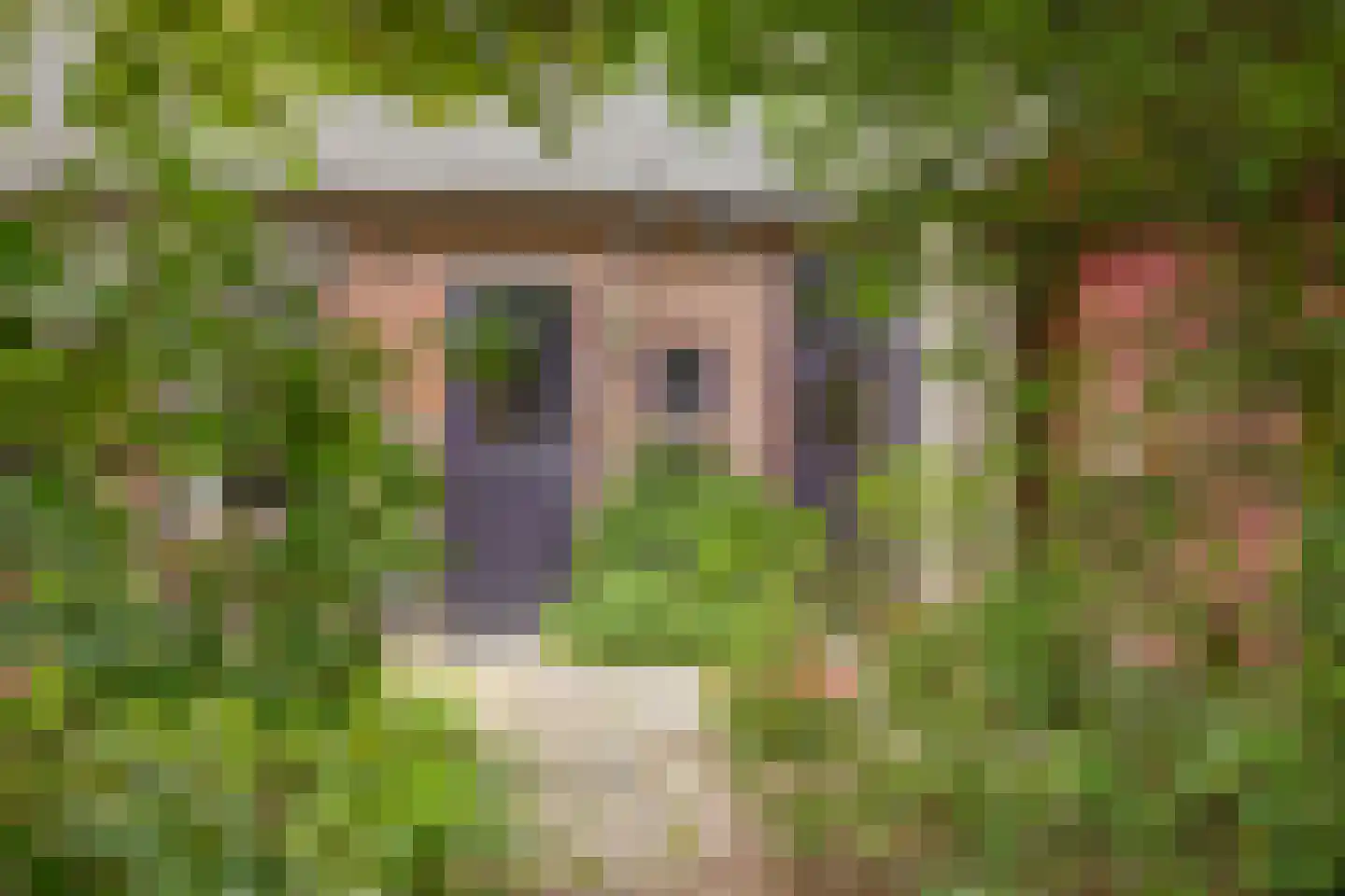 Rijksweg 224 Heumen thumbnail 16