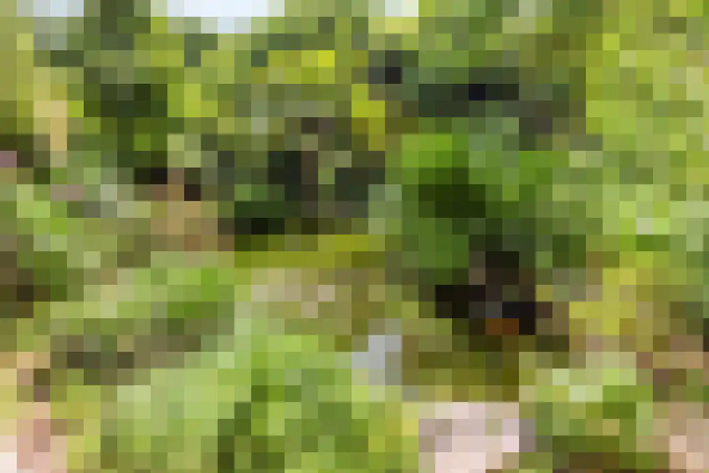 Rijksweg 224 Heumen thumbnail 37