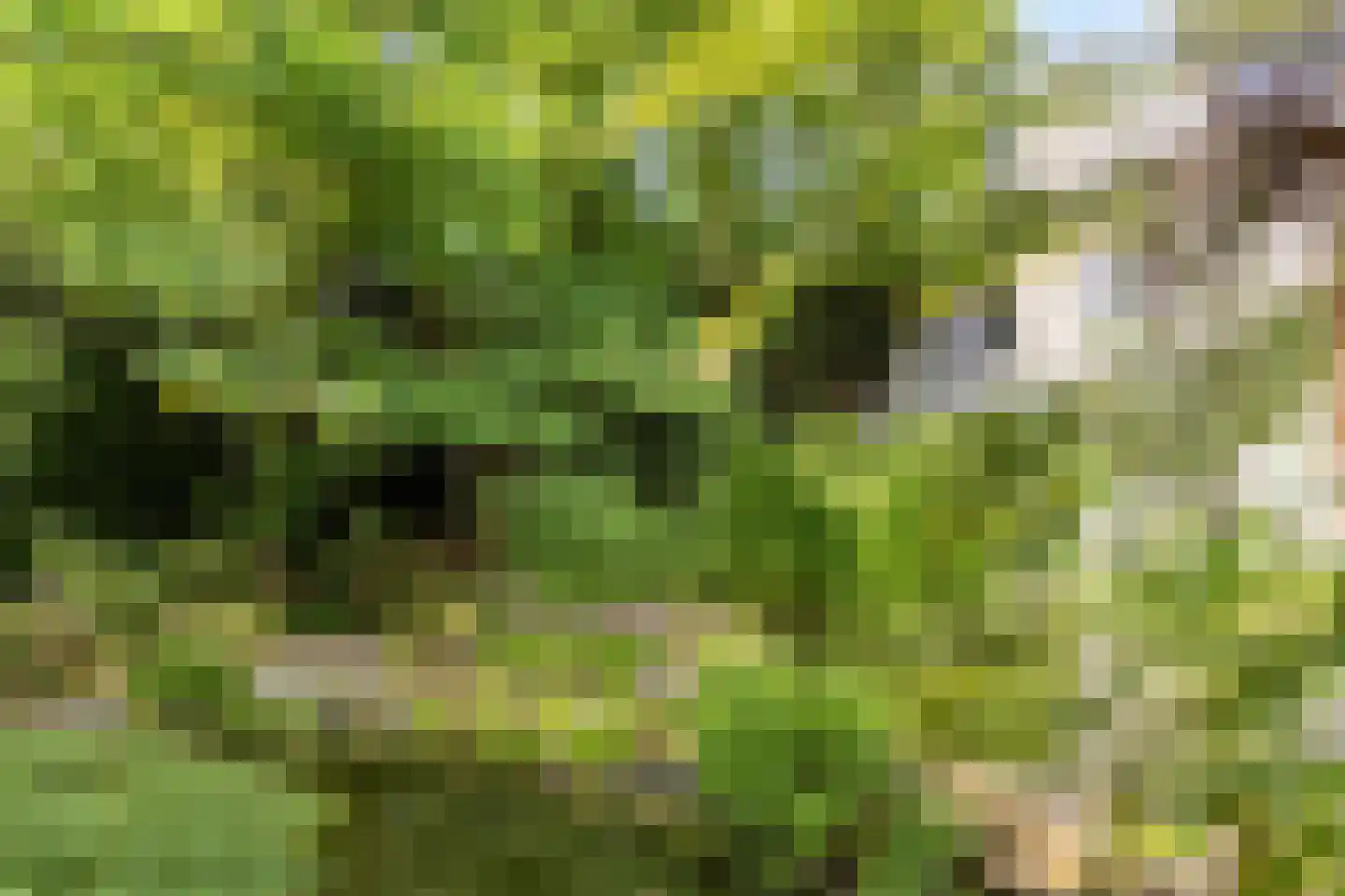 Rijksweg 224 Heumen thumbnail 38