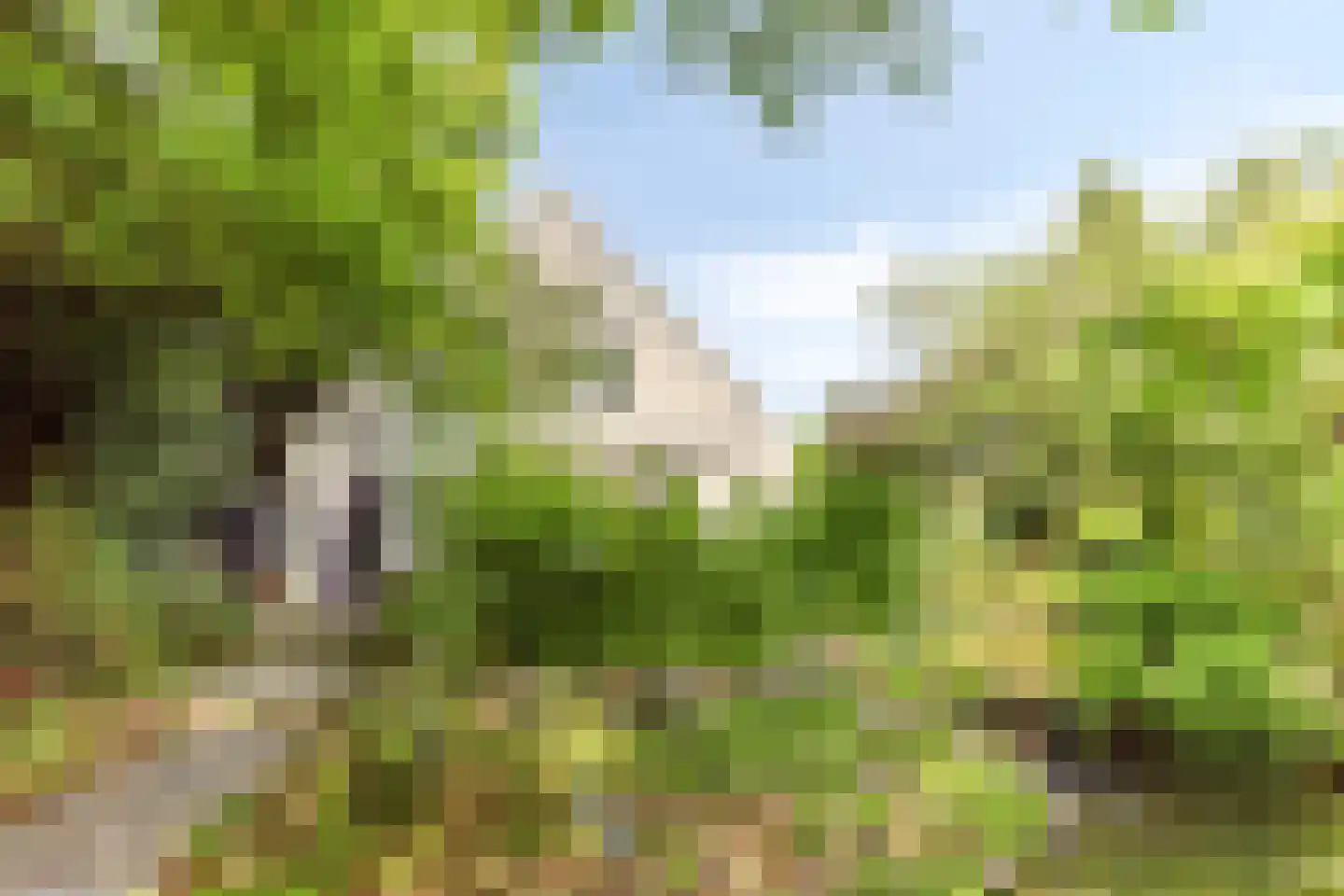 Rijksweg 224 Heumen thumbnail 39