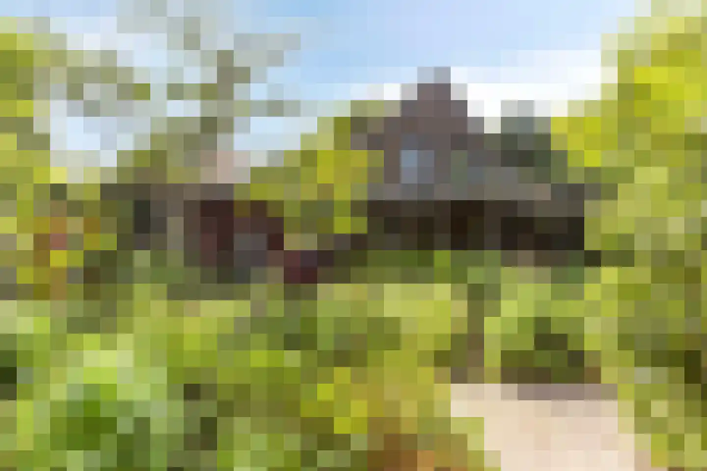 Rijksweg 224 Heumen thumbnail 4
