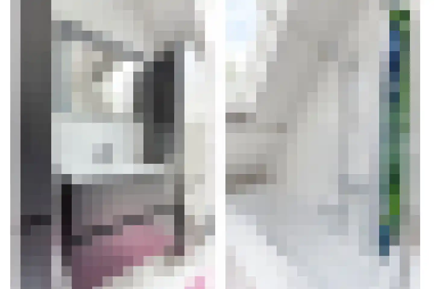 Rijksweg 224 Heumen thumbnail 44