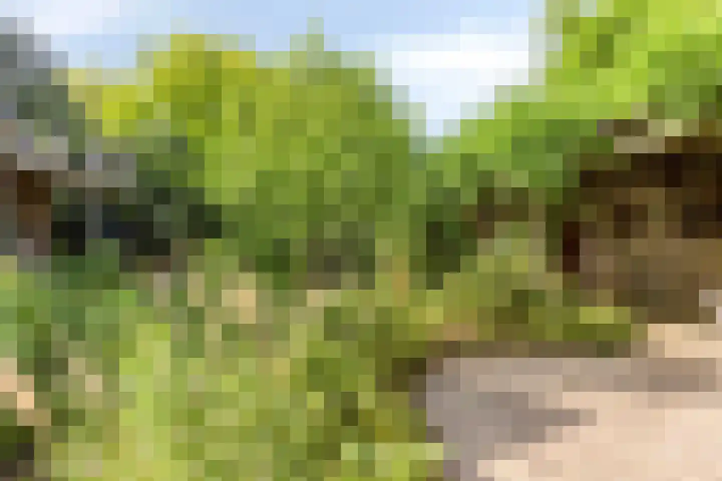 Rijksweg 224 Heumen thumbnail 48