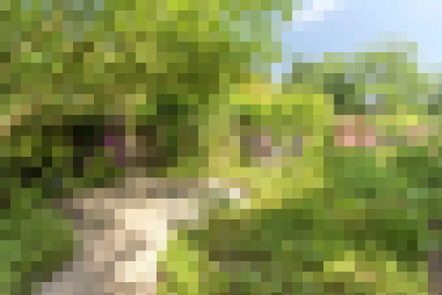 Rijksweg 224 Heumen thumbnail 49