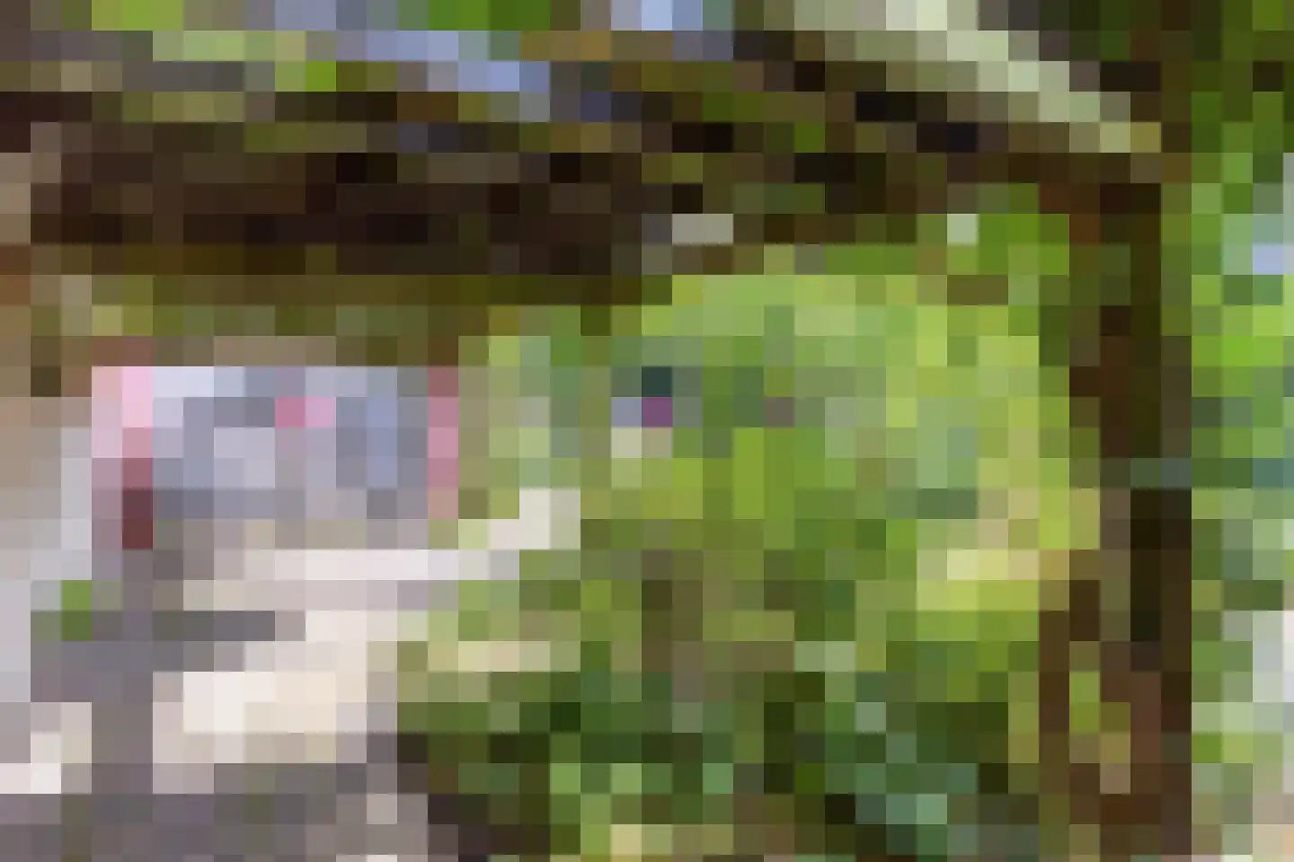 Rijksweg 224 Heumen thumbnail 50