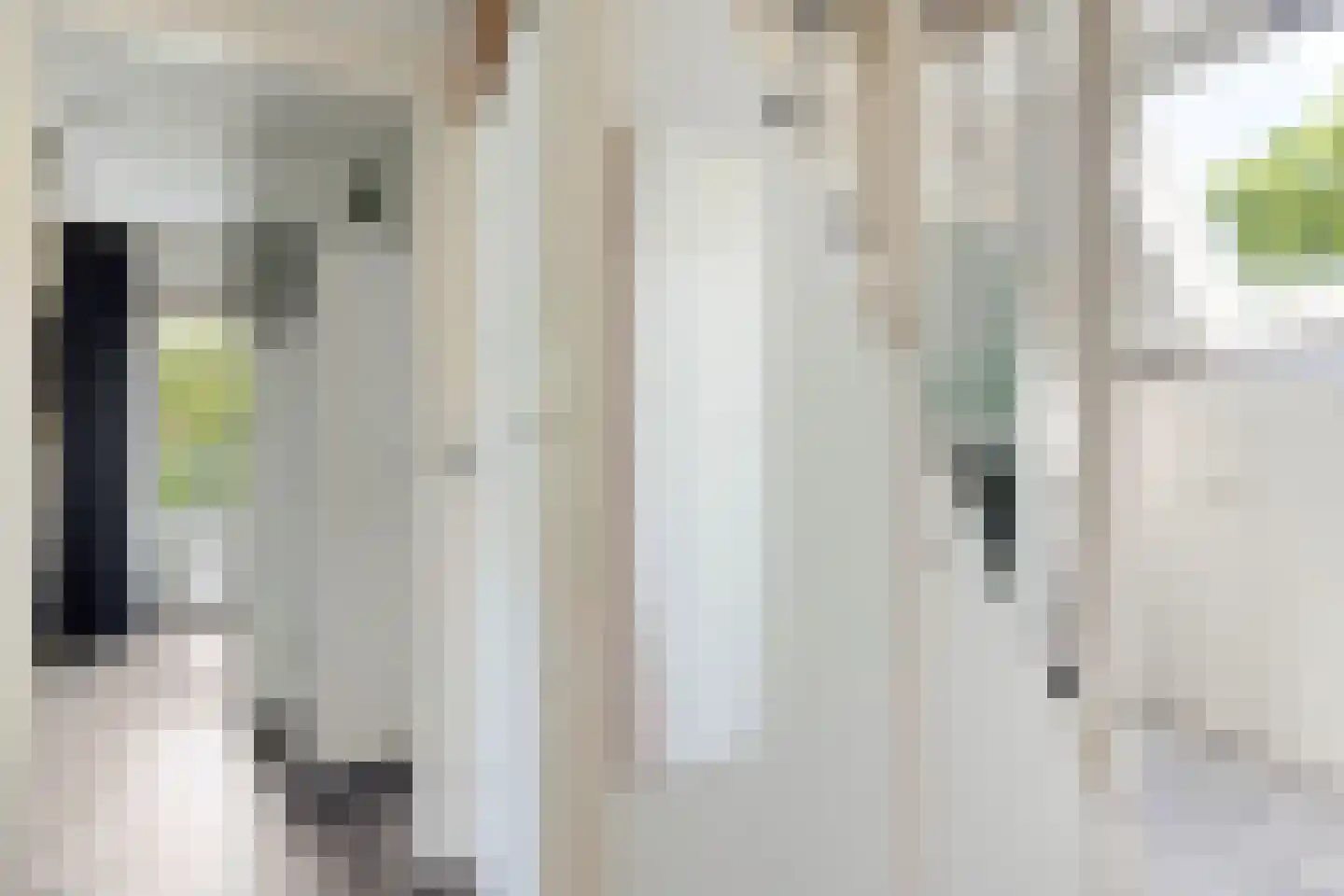 Rijksweg 224 Heumen thumbnail 58