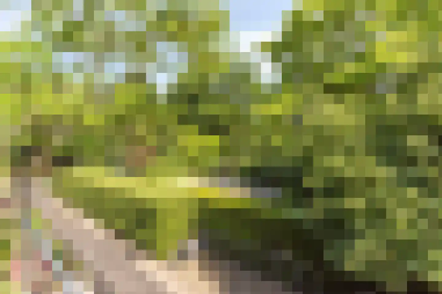 Rijksweg 224 Heumen thumbnail 66