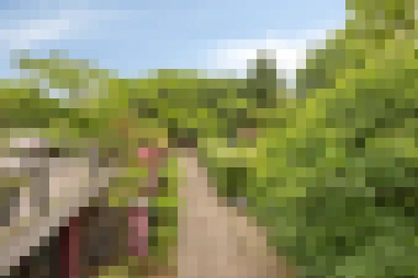 Rijksweg 224 Heumen thumbnail 7