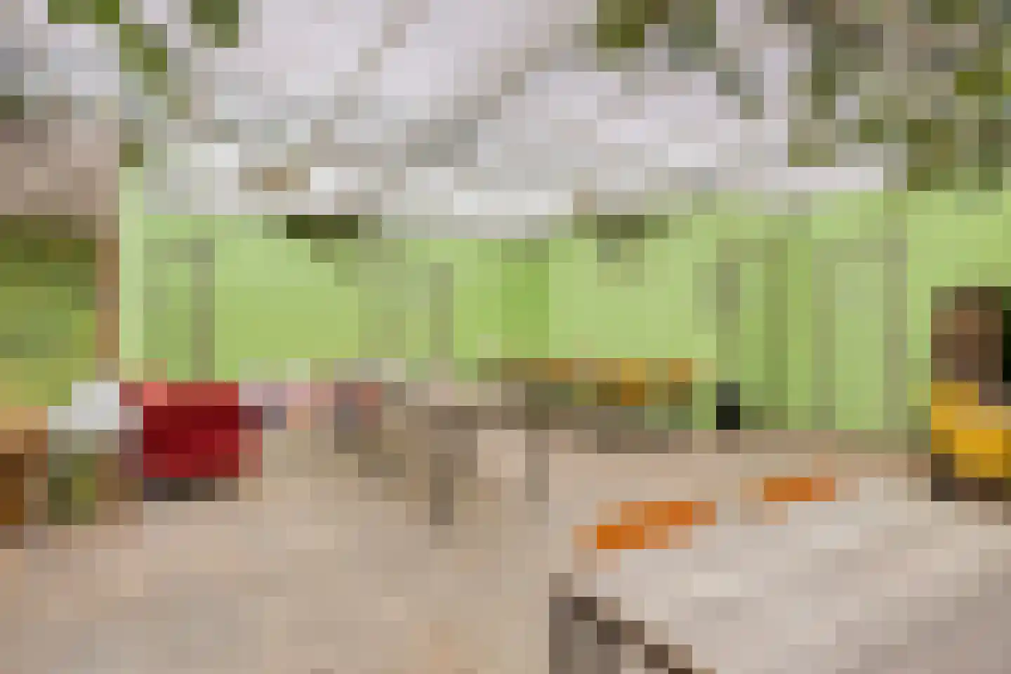 Rijksweg 224 Heumen thumbnail 70