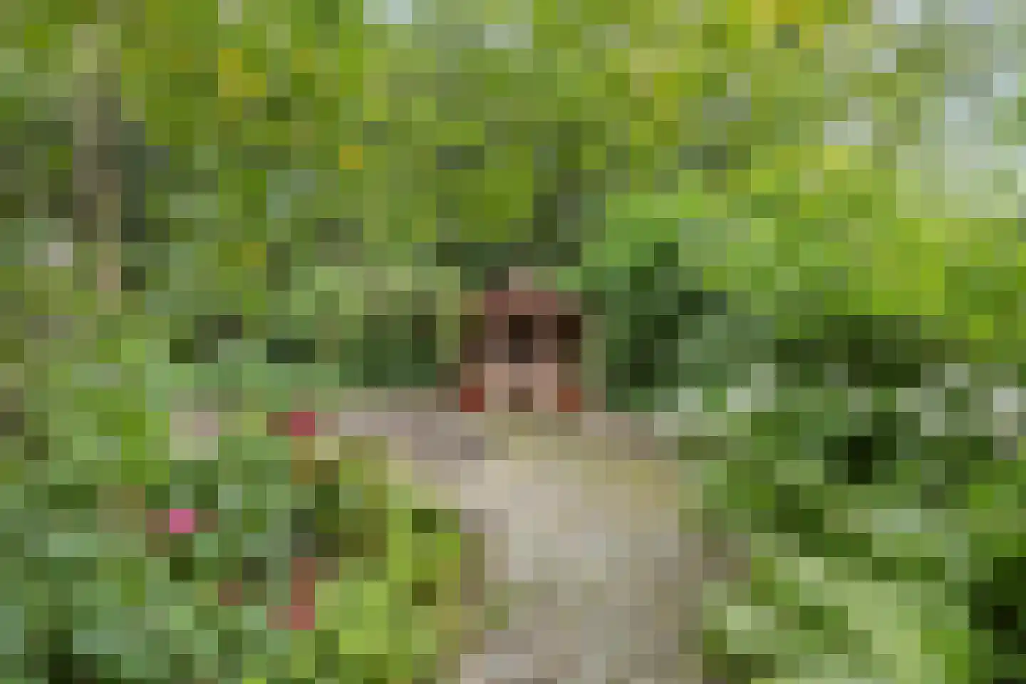 Rijksweg 224 Heumen thumbnail 83