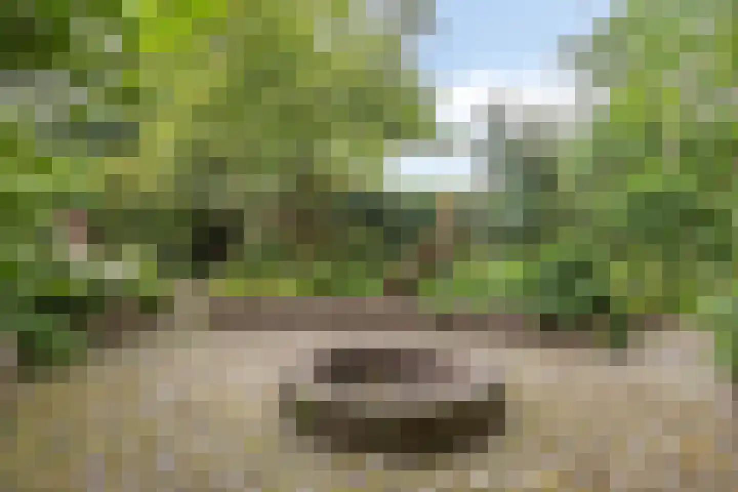 Rijksweg 224 Heumen thumbnail 84