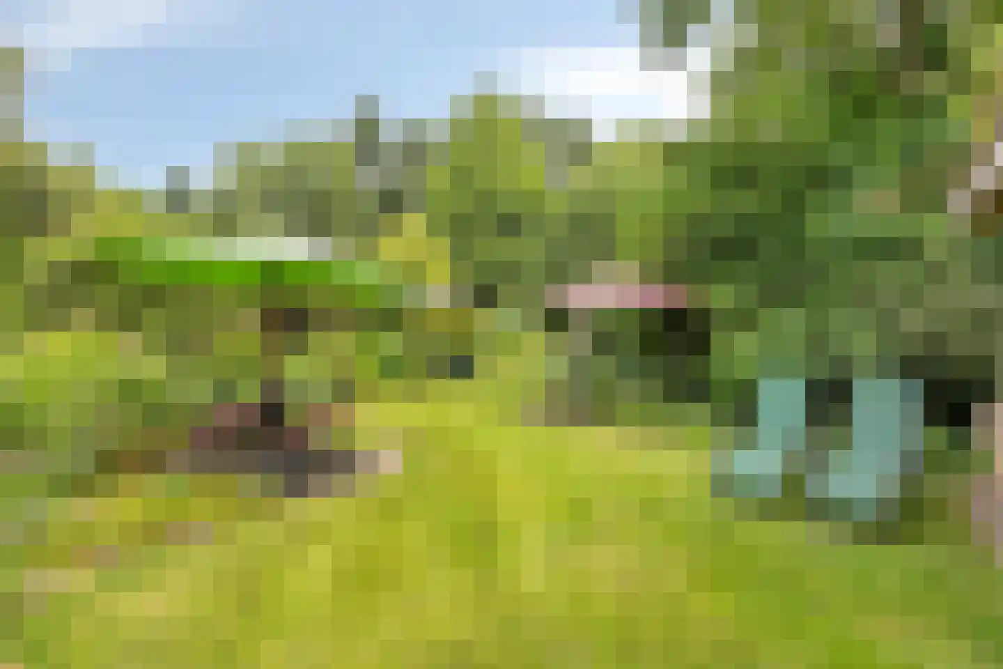 Rijksweg 224 Heumen thumbnail 86