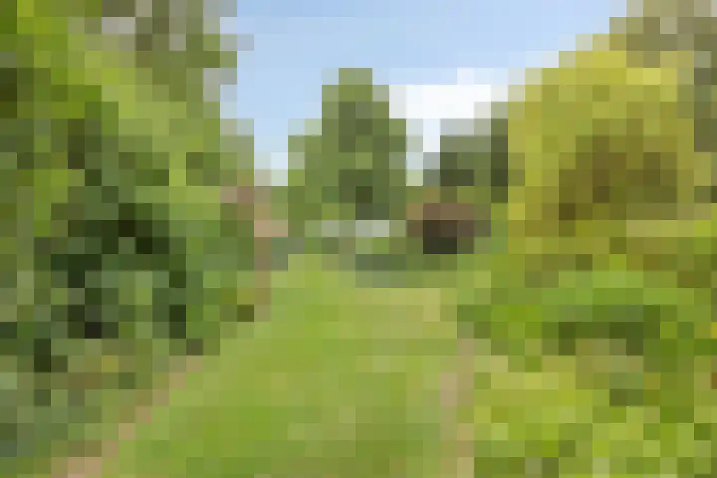 Rijksweg 224 Heumen thumbnail 87