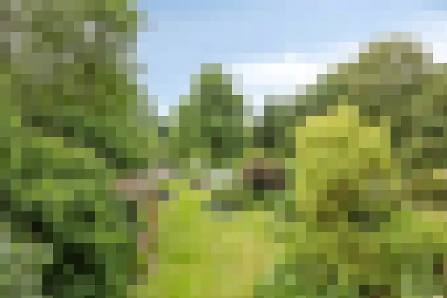 Rijksweg 224 Heumen thumbnail 88