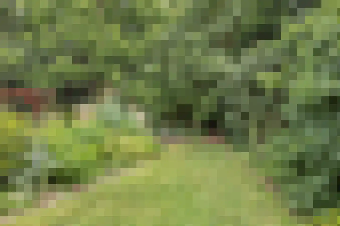 Rijksweg 224 Heumen thumbnail 89