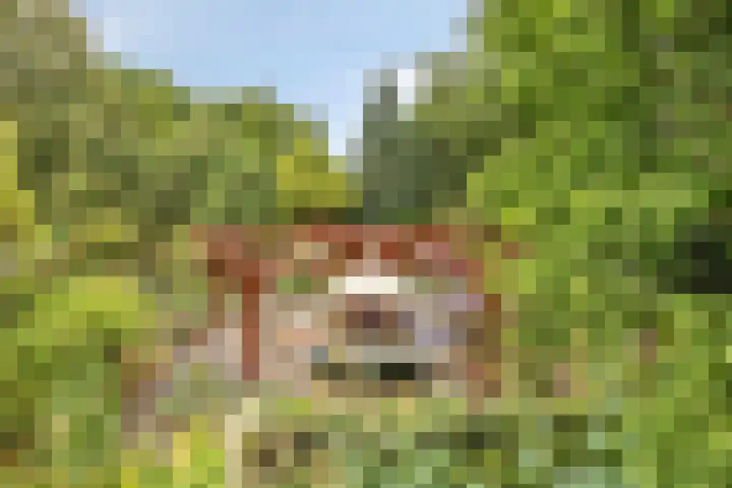 Rijksweg 224 Heumen thumbnail 90