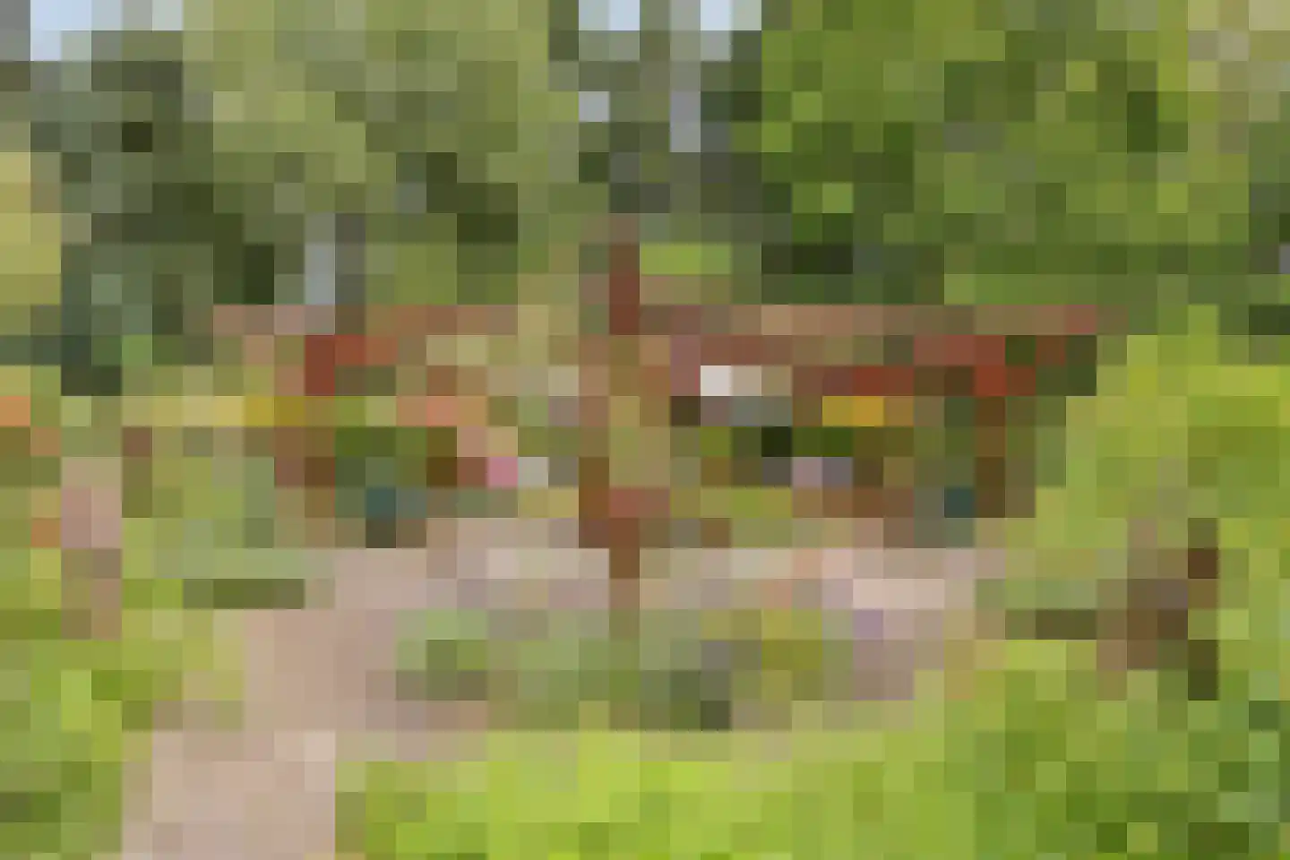 Rijksweg 224 Heumen thumbnail 91