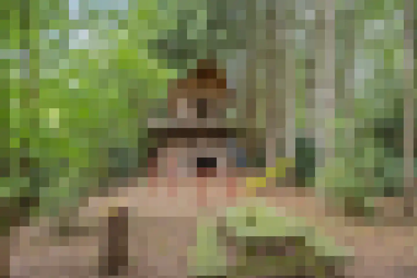 Rijksweg 224 Heumen thumbnail 92