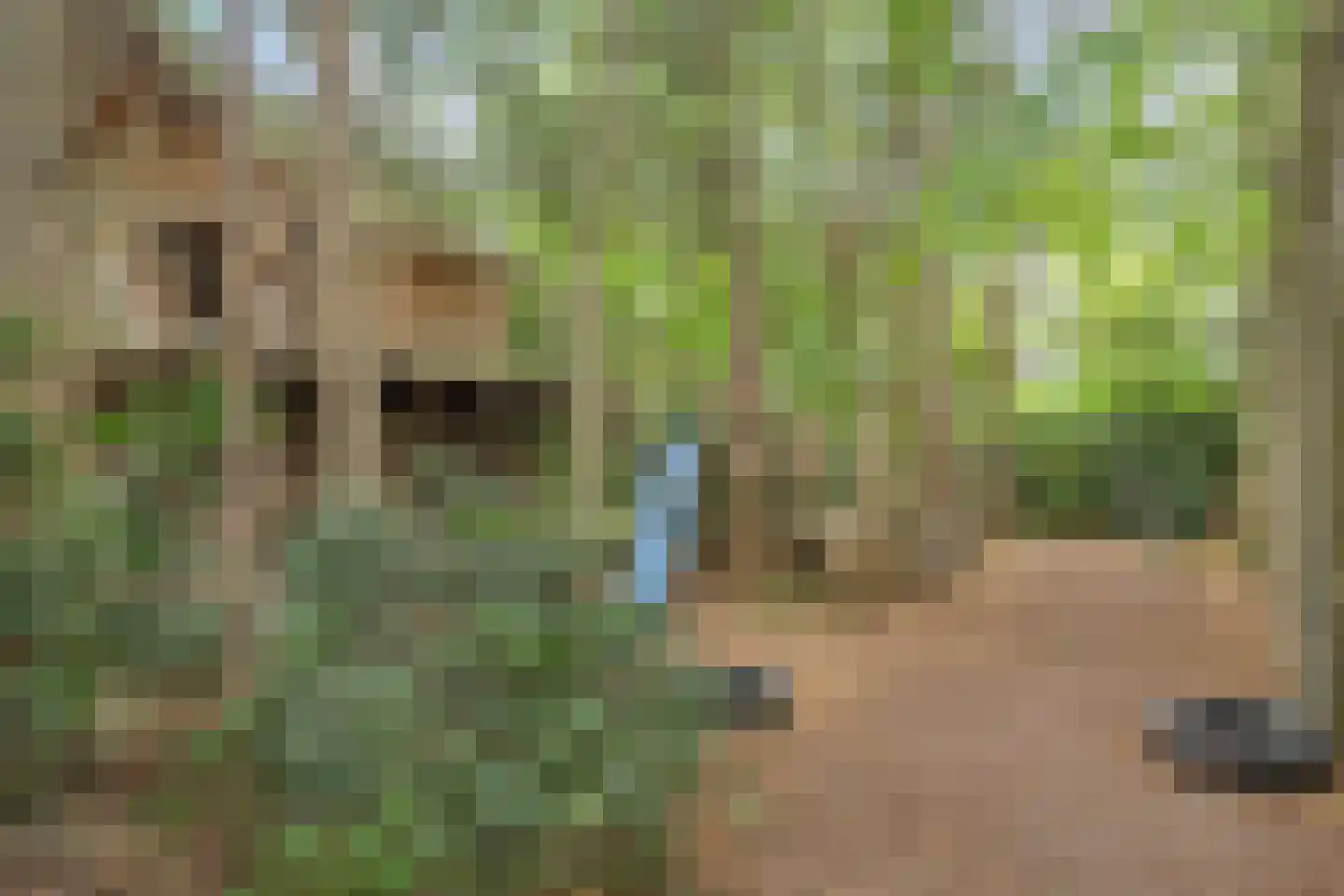 Rijksweg 224 Heumen thumbnail 93