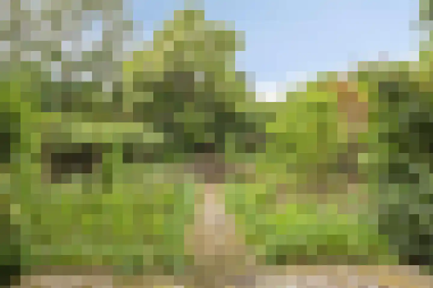 Rijksweg 224 Heumen thumbnail 94