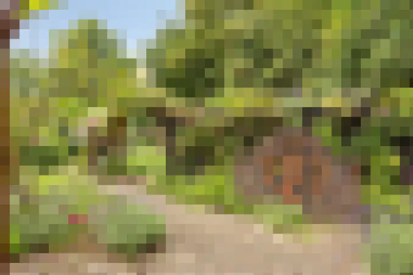 Rijksweg 224 Heumen thumbnail 95