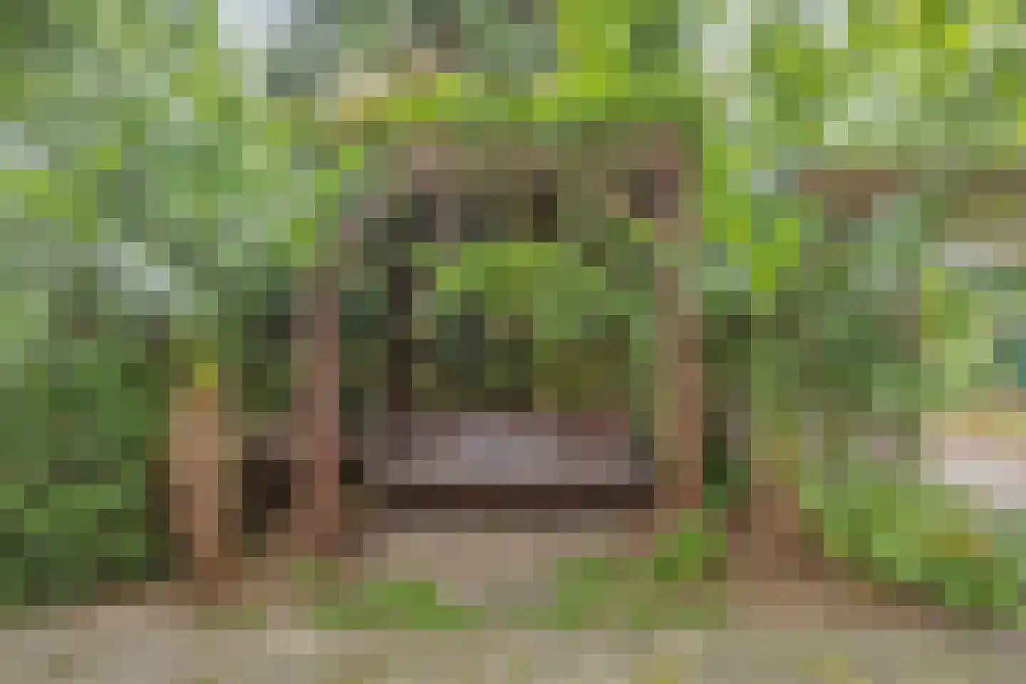 Rijksweg 224 Heumen thumbnail 97
