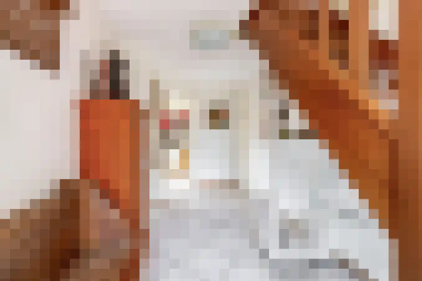 Rijksweg 23 b Uffelte thumbnail 13