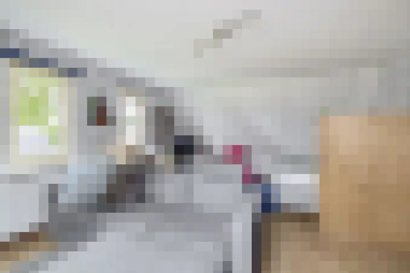 Rijksweg 23 b Uffelte thumbnail 25