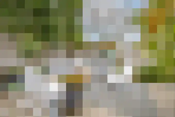 Rijksweg 23 b Uffelte thumbnail 27