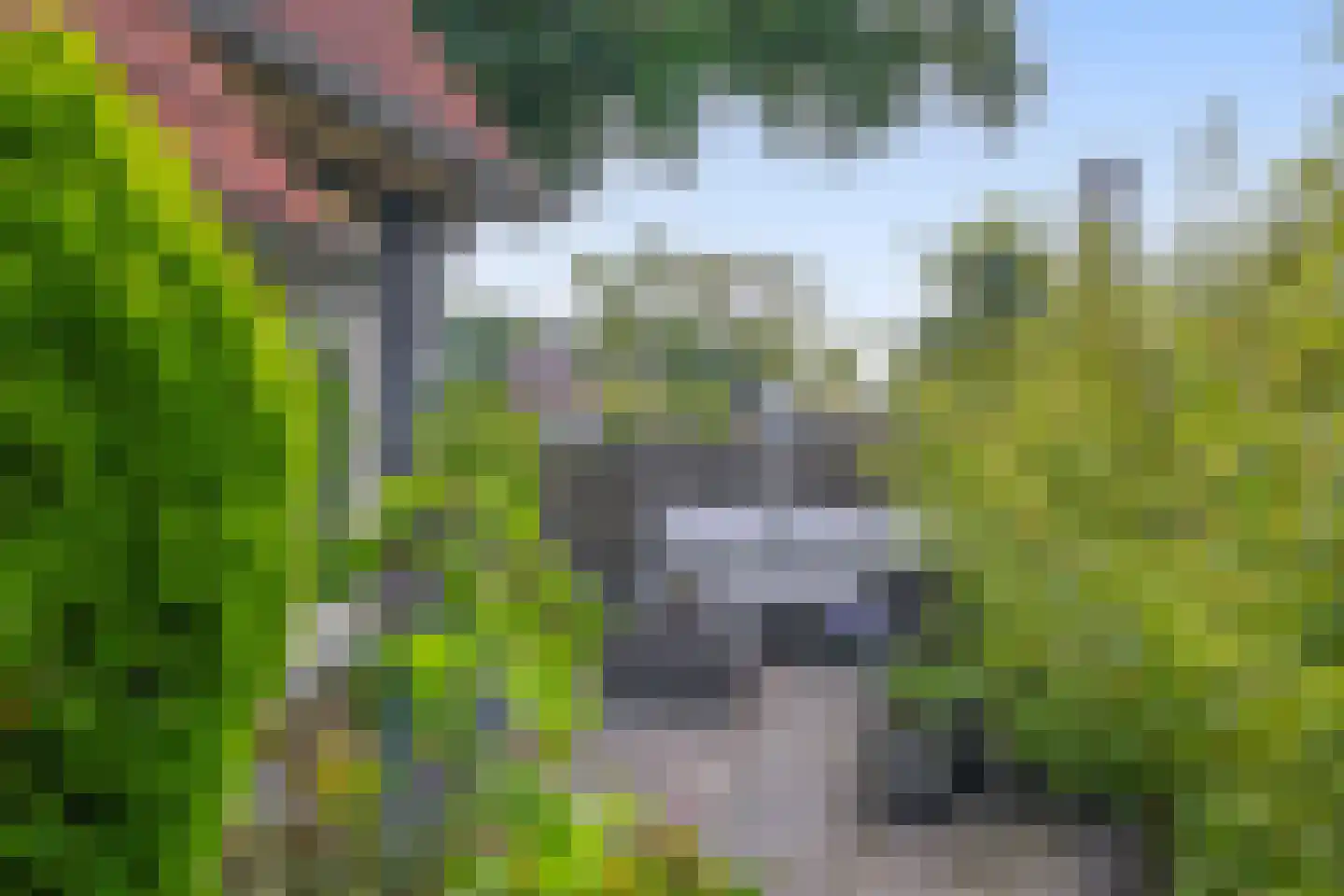 Rijksweg 23 b Uffelte thumbnail 31