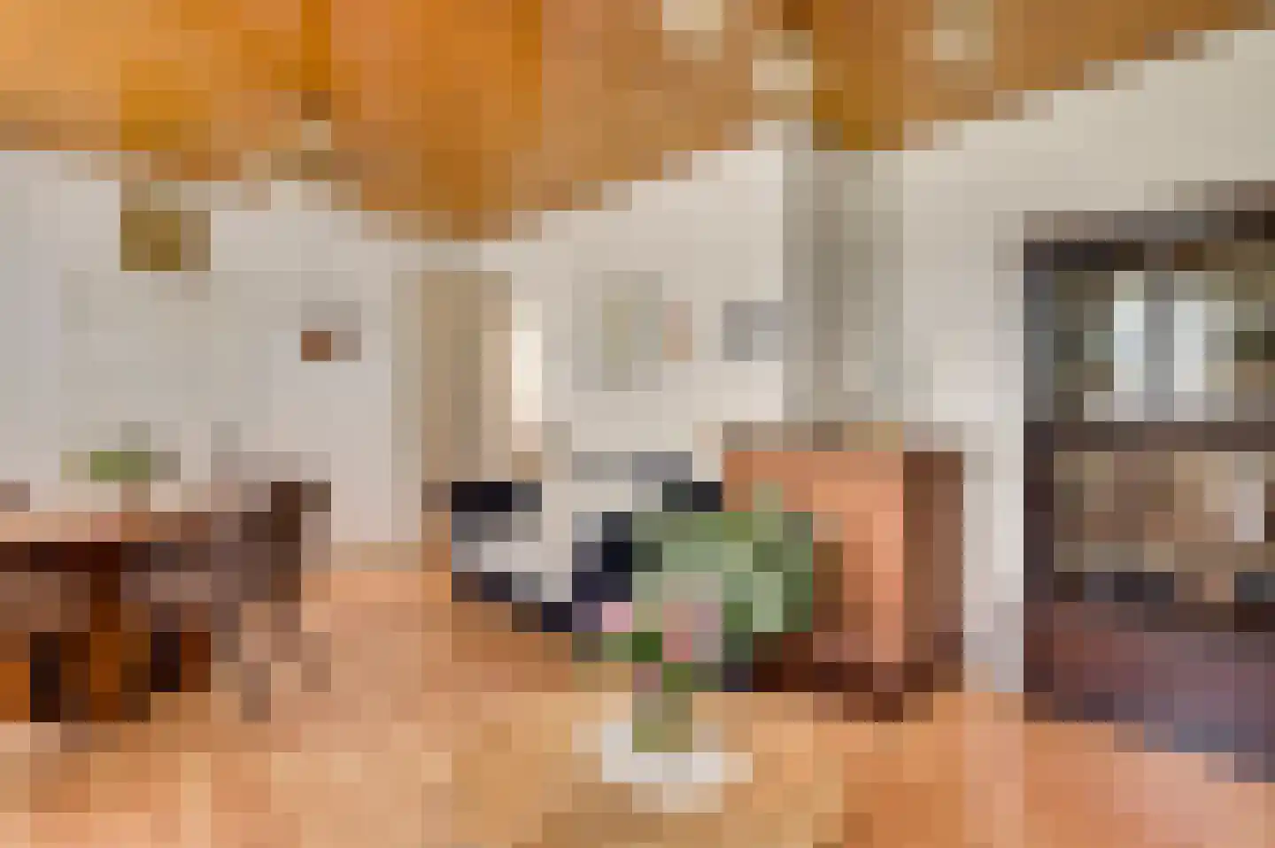 Rijksweg 23 Baexem thumbnail 11