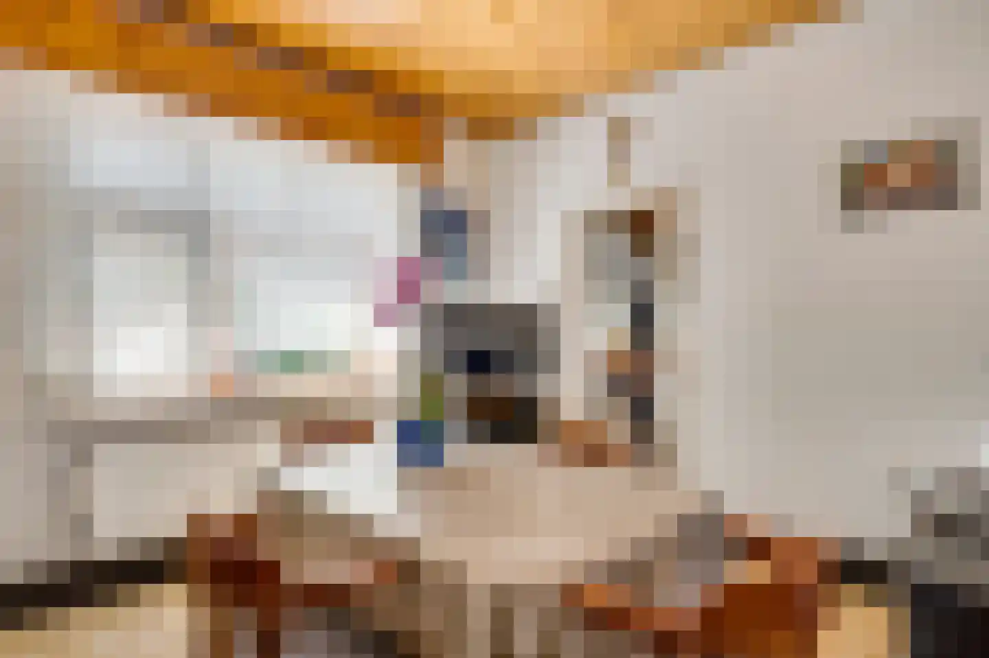 Rijksweg 23 Baexem thumbnail 13