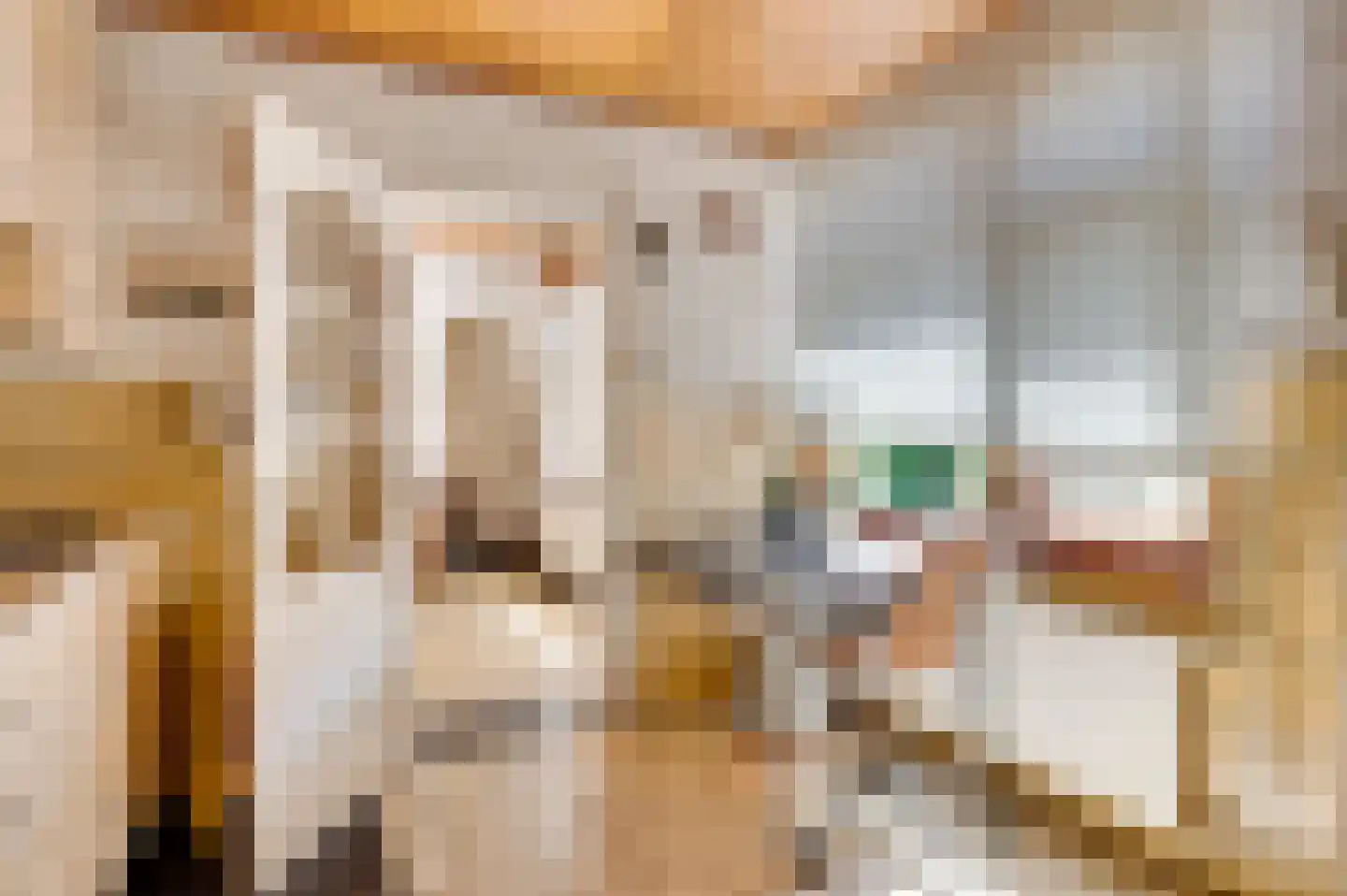 Rijksweg 23 Baexem thumbnail 14