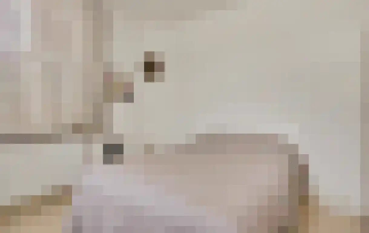 Rijksweg 23 Baexem thumbnail 15