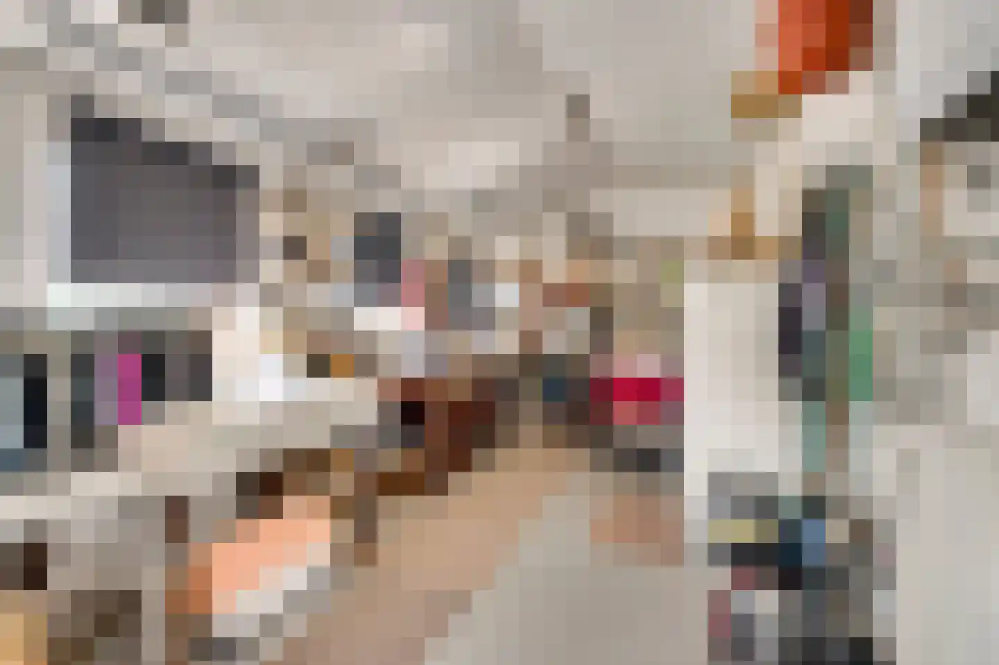 Rijksweg 23 Baexem thumbnail 22