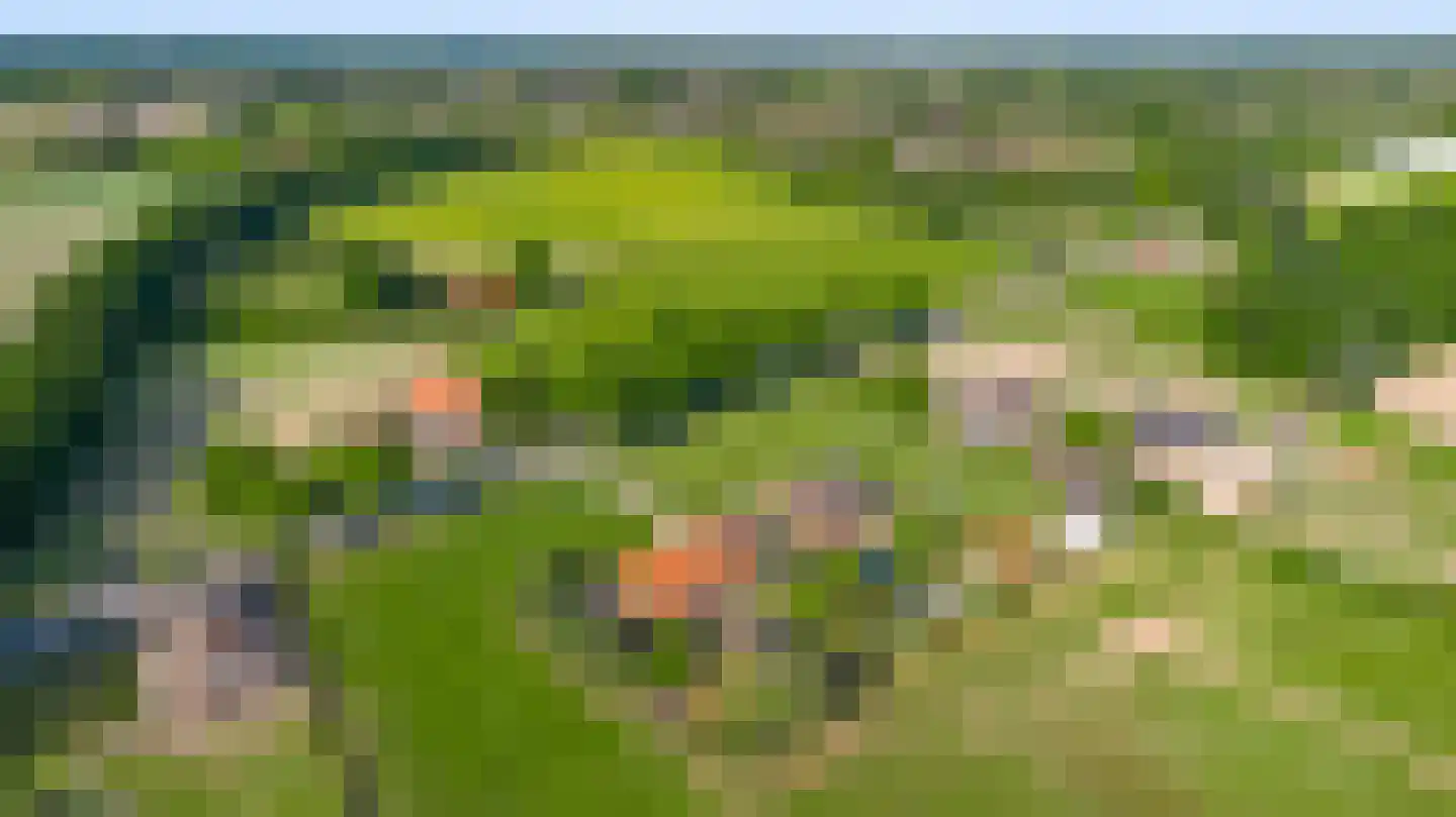 Rijksweg 23 Baexem thumbnail 32