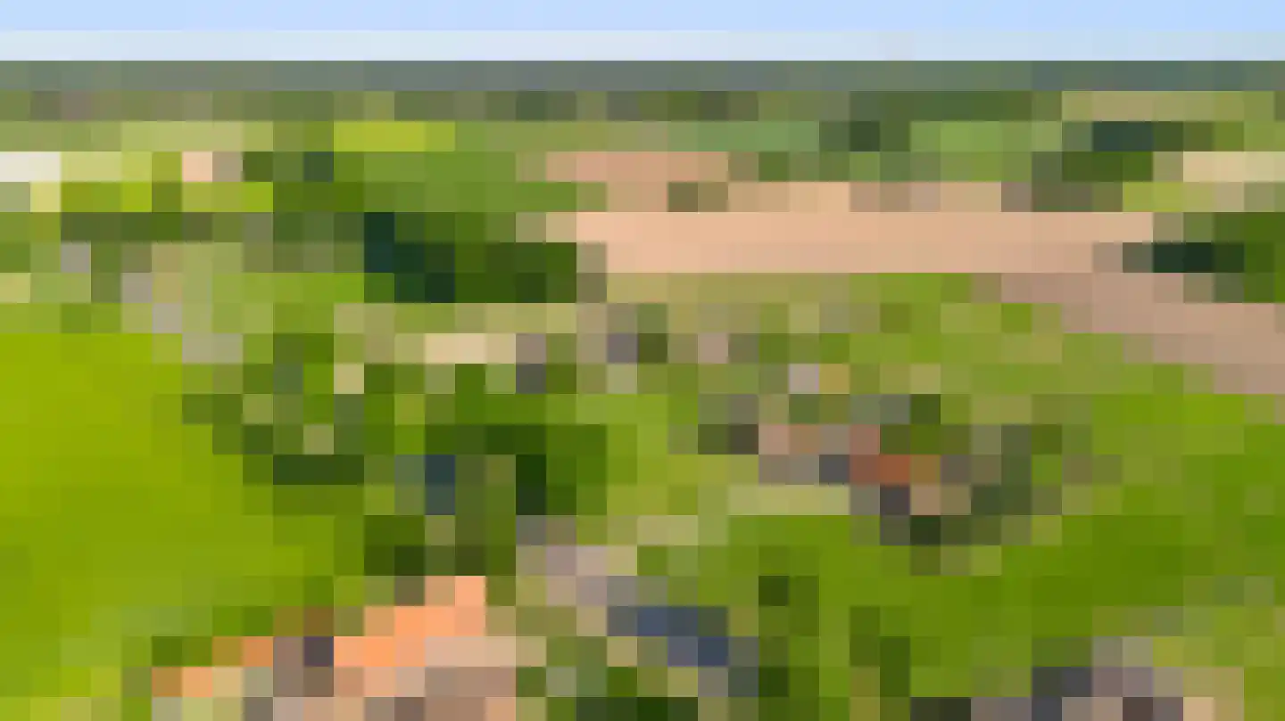Rijksweg 23 Baexem thumbnail 35