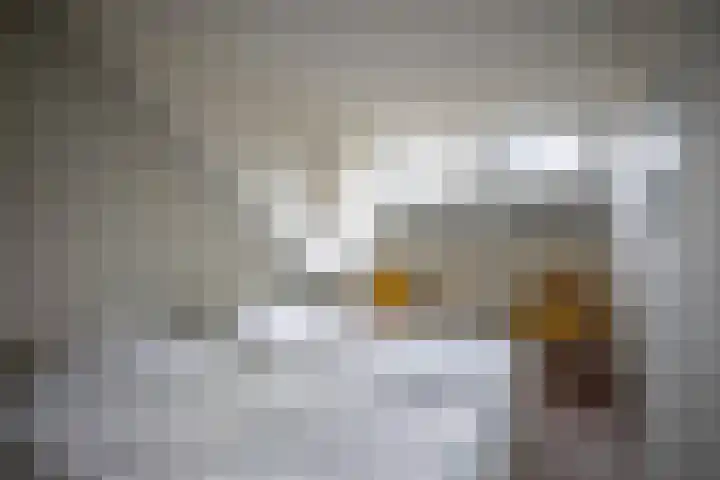 Rijksweg 230 Gulpen thumbnail 25