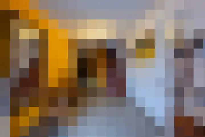 Rijksweg 230 Gulpen thumbnail 4
