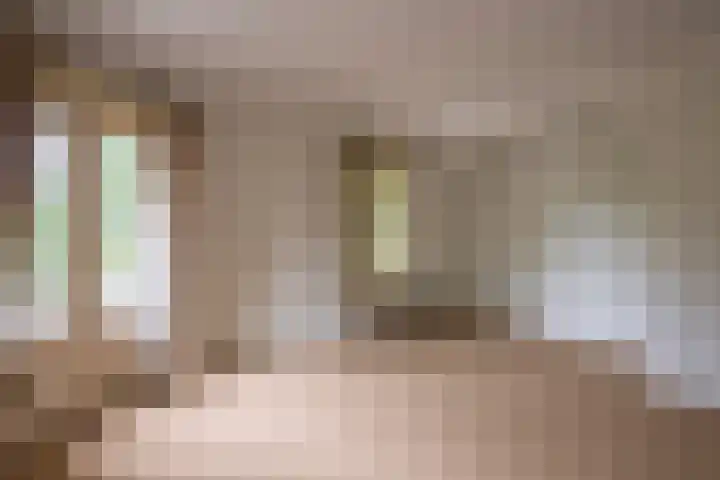 Rijksweg 230 Heumen thumbnail 12