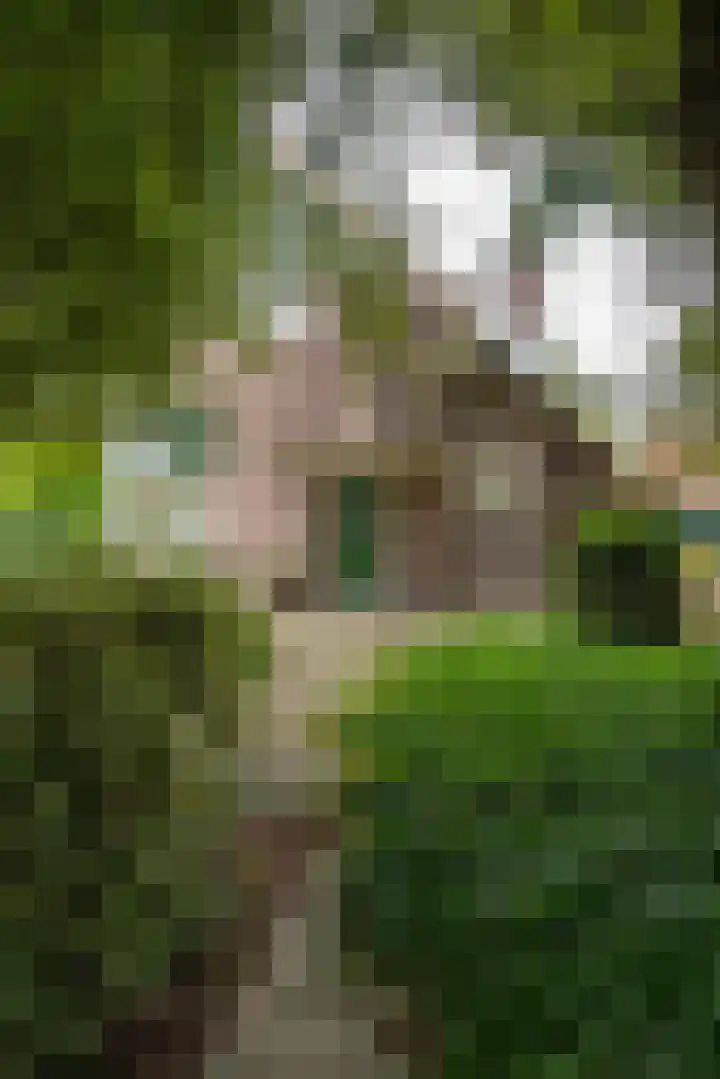 Rijksweg 230 Heumen thumbnail 24
