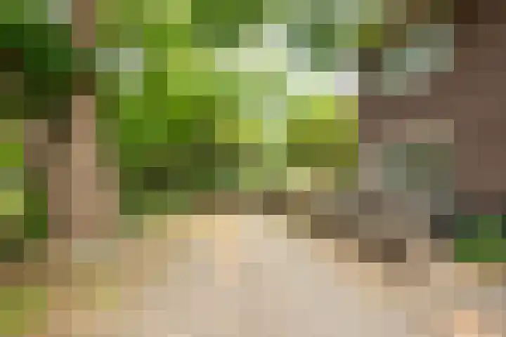 Rijksweg 230 Heumen thumbnail 25
