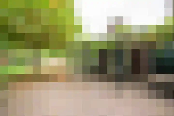 Rijksweg 230 Heumen thumbnail 26
